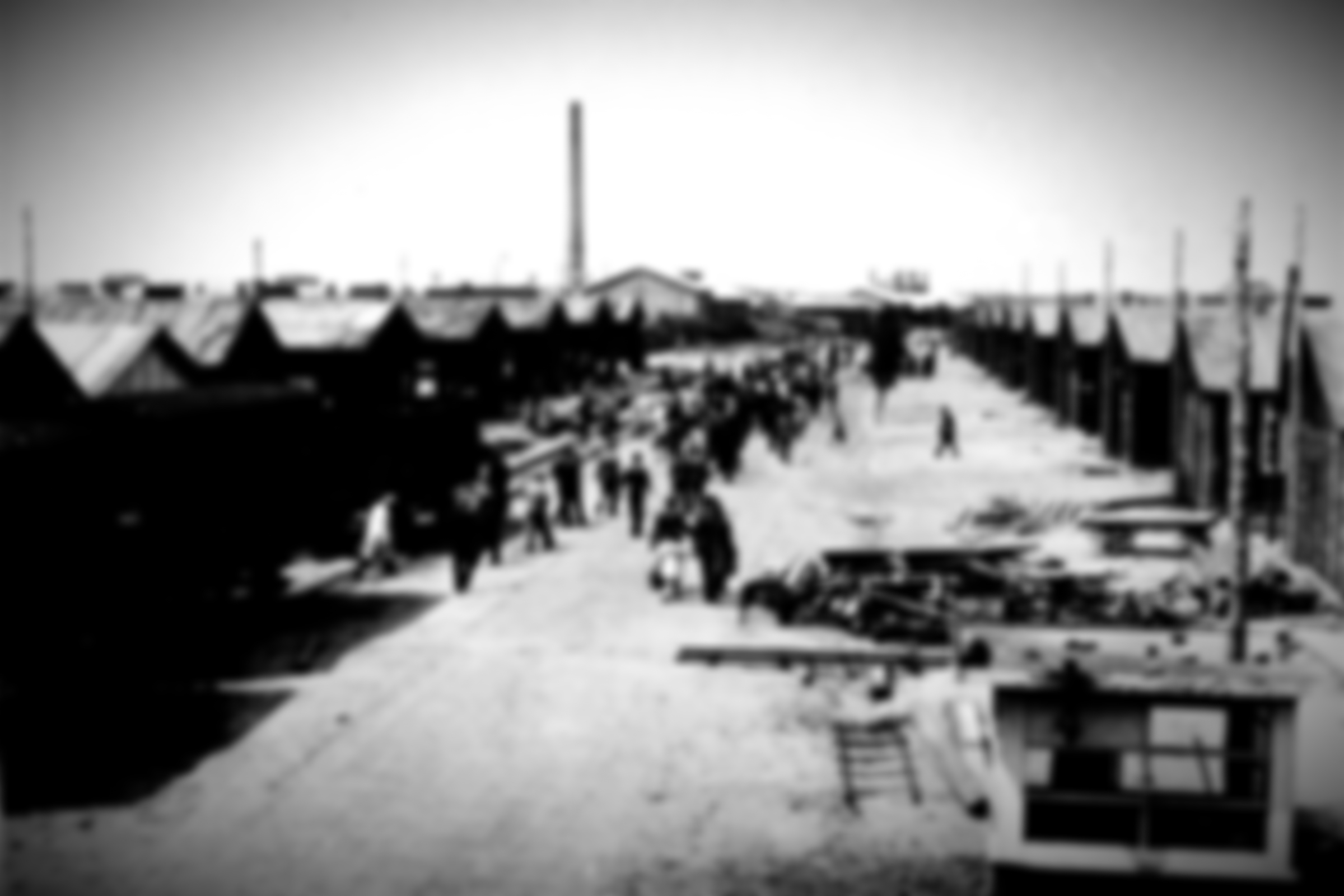 header achtergrond test1